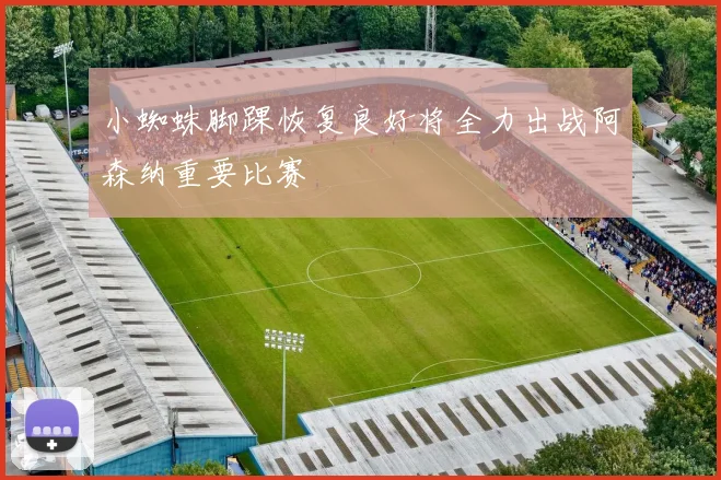小蜘蛛脚踝恢复良好将全力出战阿森纳重要比赛