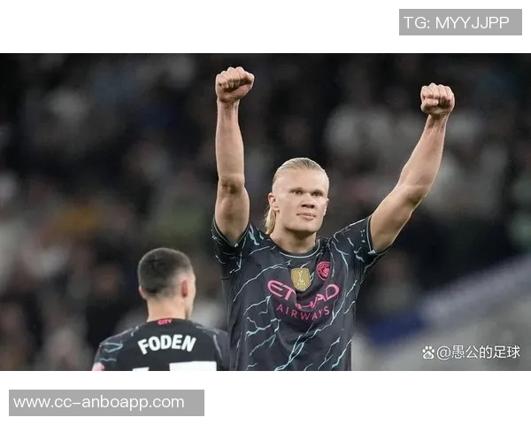 哈兰德怒斥曼奇尼不当行为多纳鲁马出面调解冲突